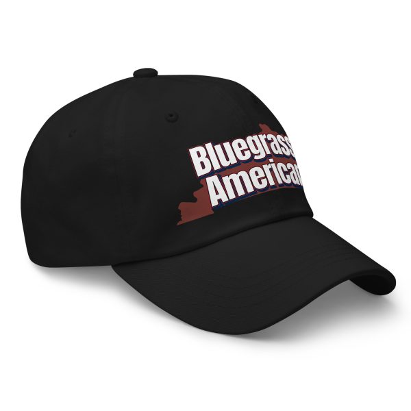 classic-dad-hat-black-right-front-6a32231de3f62.jpg Dad hat