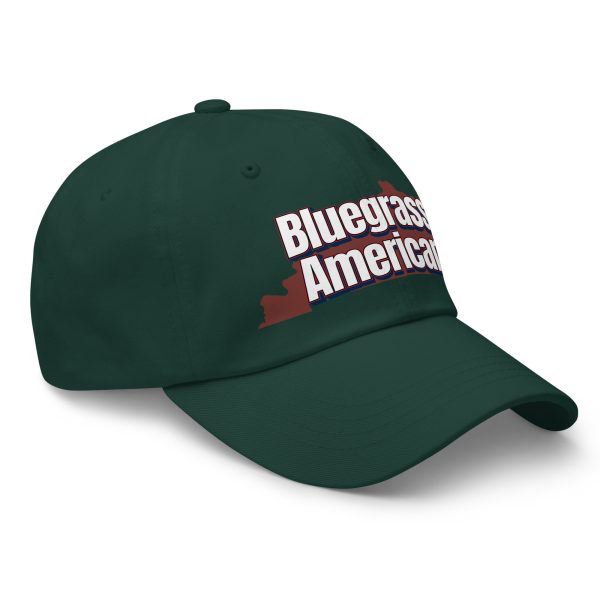 classic-dad-hat-spruce-right-front-6a32231de445c.jpg Dad hat